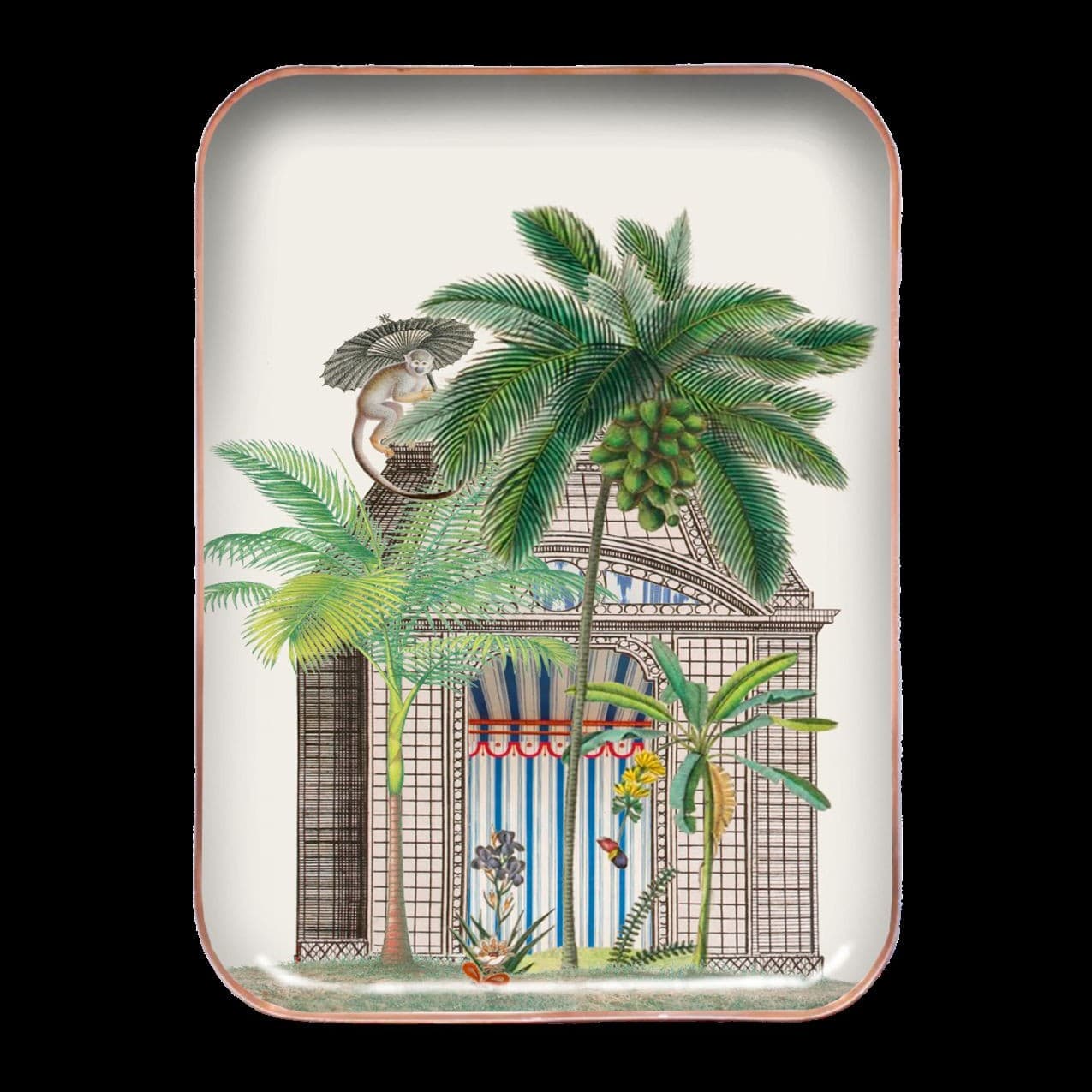 Plateau Botanica