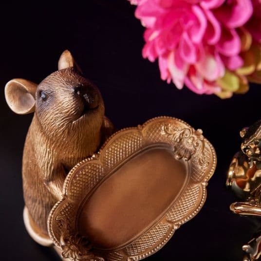 Rudi le rat