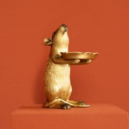 Rudi le rat